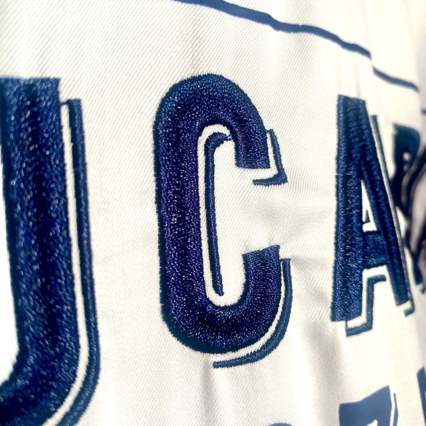 Classic Logo Hand Embroidered Button-Up