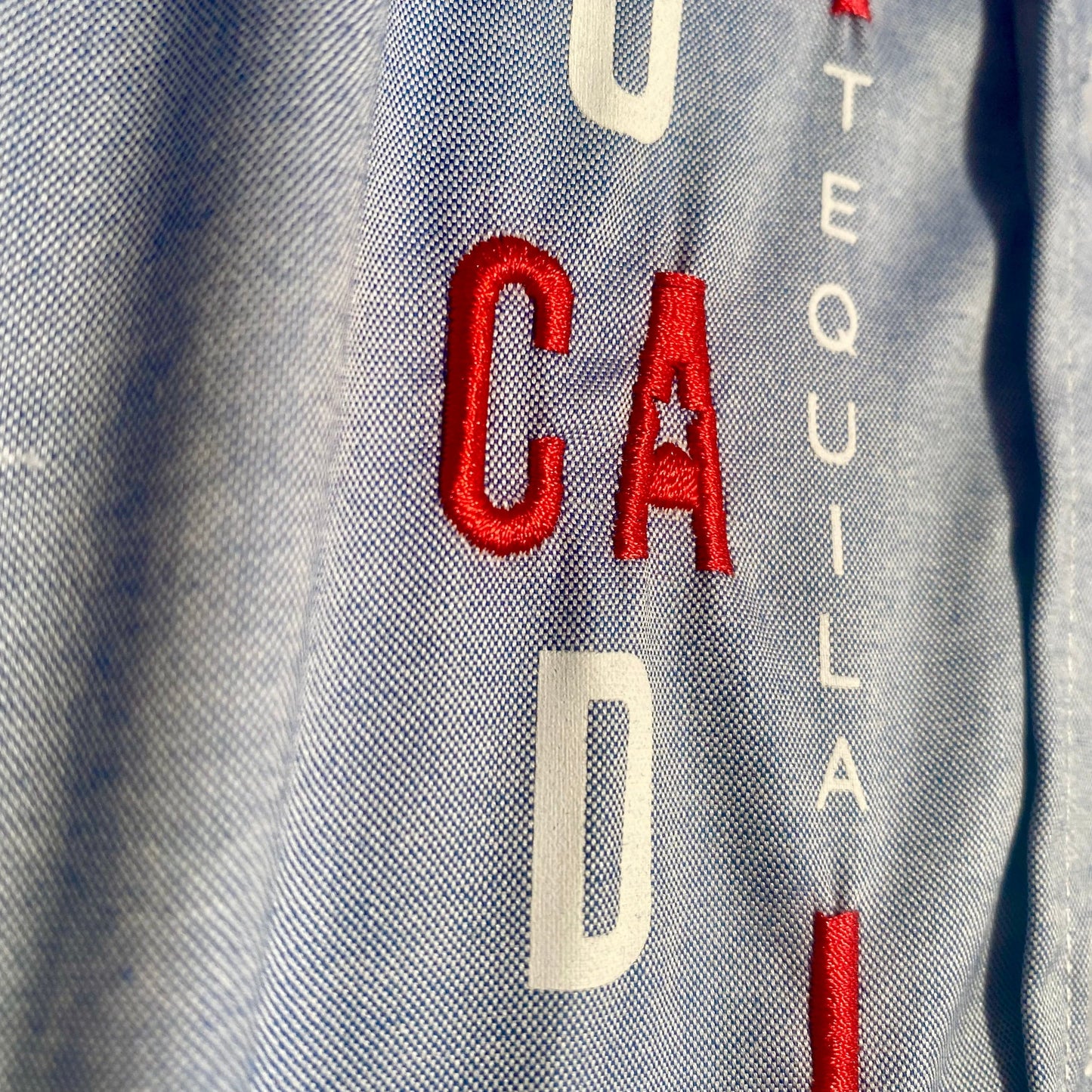 Leucadia Embroidered Board Shirt